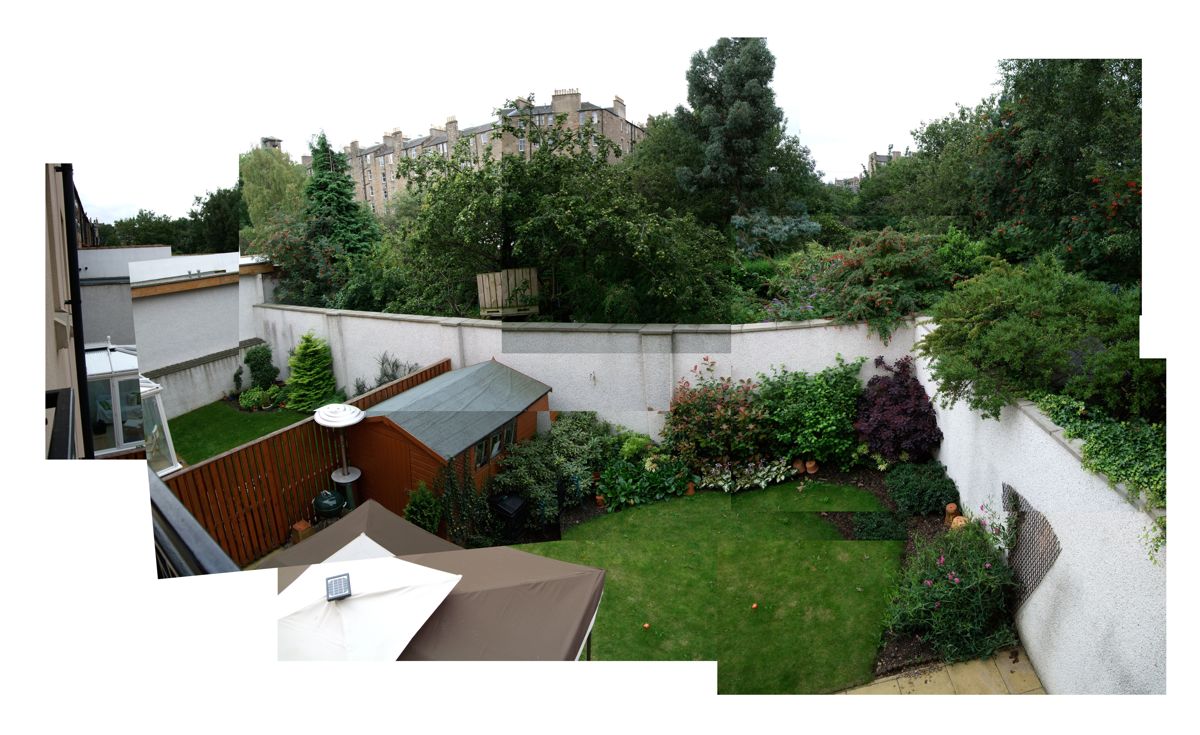 flat backyard