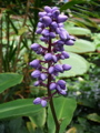 DSCF0354.JPG