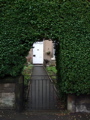 DSCF0024.JPG